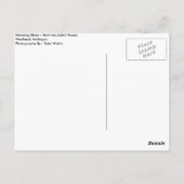 morning glory briefkaart (Achterkant)