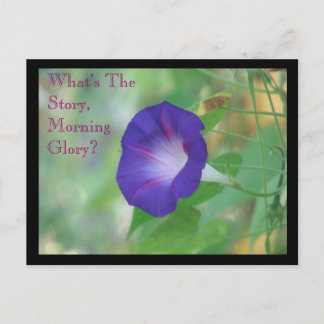 morning glory briefkaart