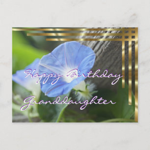Morning Glory Briefkaart voor elke gelegenheid - a