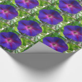 Morning Glory Cadeaupapier (Hoek)