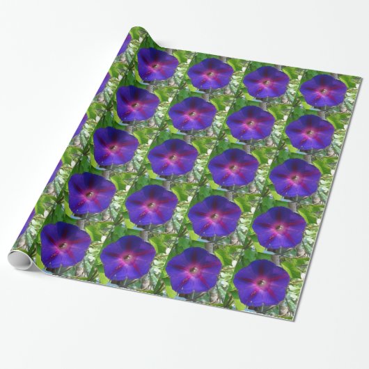 Morning Glory Cadeaupapier (Uitgerold)