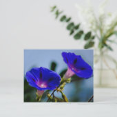Morning Glory en betekenis Briefkaart (Staand voorkant)