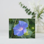 Morning Glory en Bud in Lush Foliage Briefkaart (Staand voorkant)