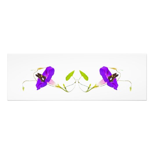 Morning Glory en Butterfly Foto Afdruk (Voorkant)