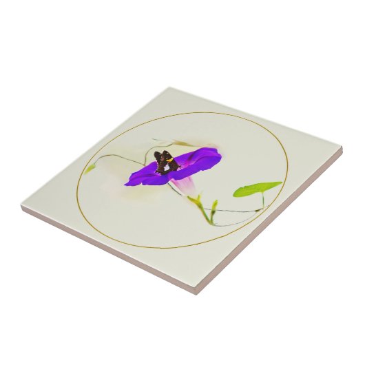 Morning Glory en Butterfly Tegeltje (Zijkant)