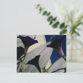 Morning Glory Flower Briefkaart (Staand voorkant)