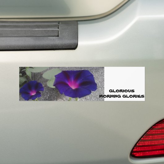 Morning Glory Flower Bumpersticker (Op auto)