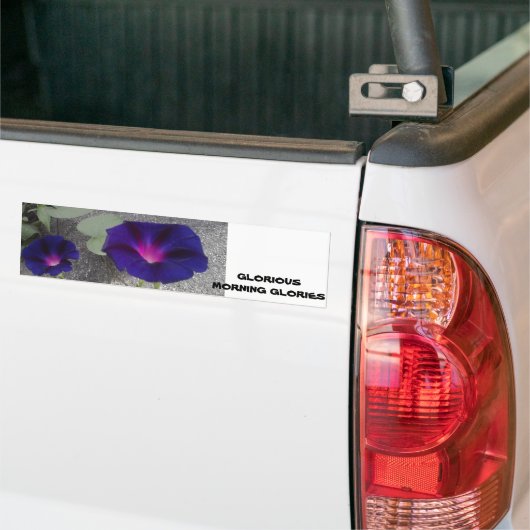 Morning Glory Flower Bumpersticker (Op Truck)