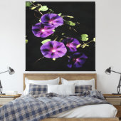 Morning Glory Flower, geïsoleerd op zwart Canvas Afdruk (Insitu (Slaapkamer))