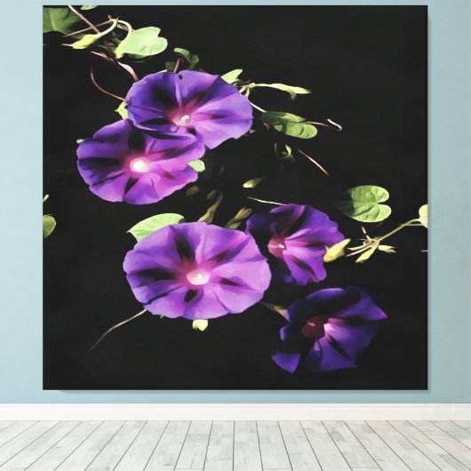 Morning Glory Flower, geïsoleerd op zwart Canvas Afdruk (Insitu (Houten vloer))
