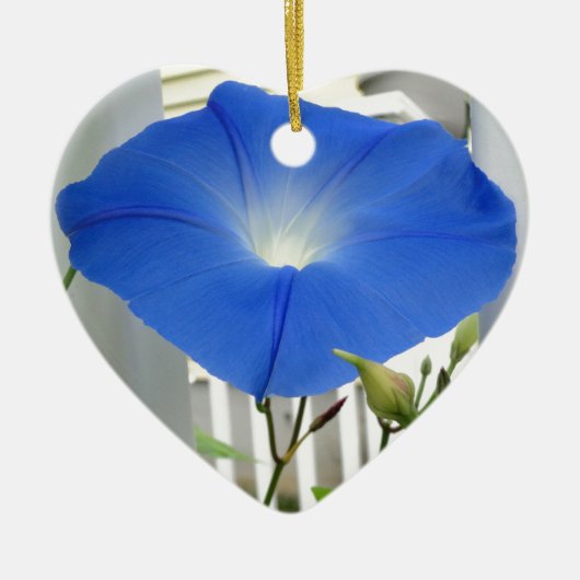 Morning Glory Flower Keramisch Ornament (Voorkant)