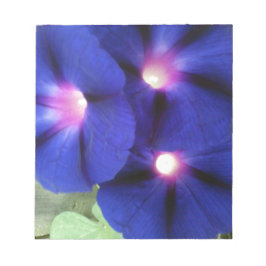 Morning Glory Flower Memo Notitieblok