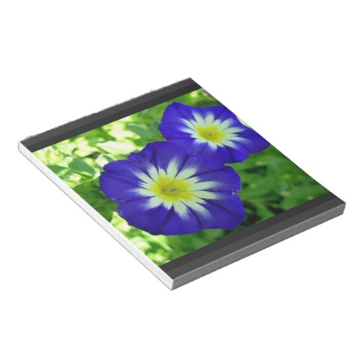 Morning Glory Flower Notitieblok (Schuin)