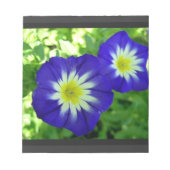 Morning Glory Flower Notitieblok (Voorkant)