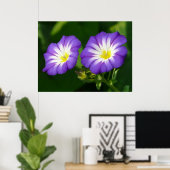 Morning glory flower poster (Thuiskantoor)