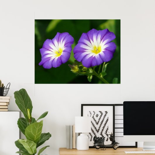 Morning glory flower poster (Thuiskantoor)