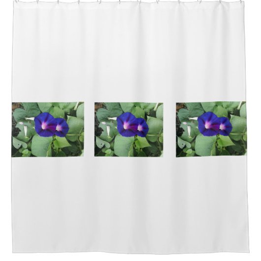 Morning Glory Flower Showgordijn Douchegordijn (Voorkant)