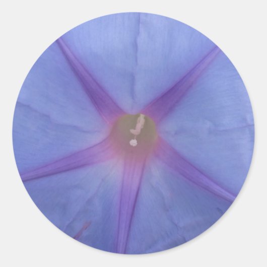 Morning Glory Flower Stickers (Voorkant)