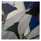 Morning Glory Flower Tegeltje (Voorkant)