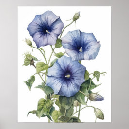 Morning Glory Flowers Art Print Poster