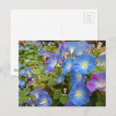 Morning Glory Flowers Briefkaart (Voorkant / Achterkant)