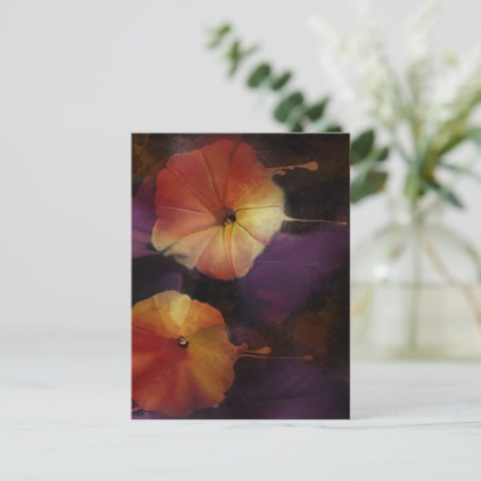 Morning Glory Flowers Briefkaart (Staand voorkant)