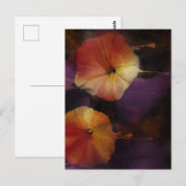 Morning Glory Flowers Briefkaart (Voorkant / Achterkant)