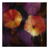 Morning Glory Flowers Foto Afdruk (Voorkant)