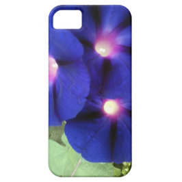 Morning Glory Flowers iPhone 5 Hoesje