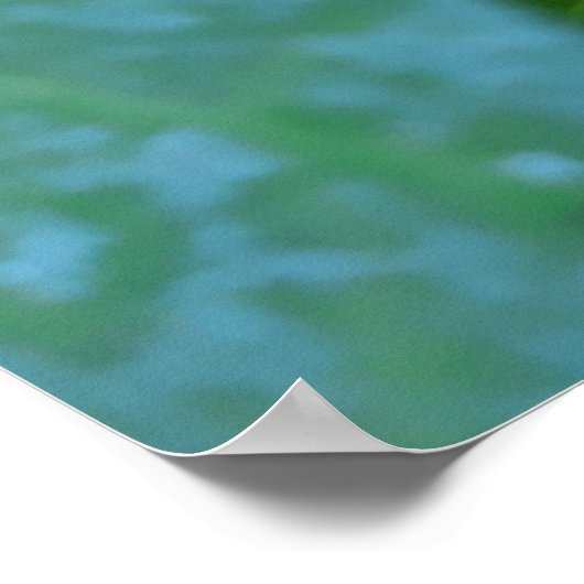 Morning Glory Flowers , Ipomoea met regendruppels Poster (Hoek)