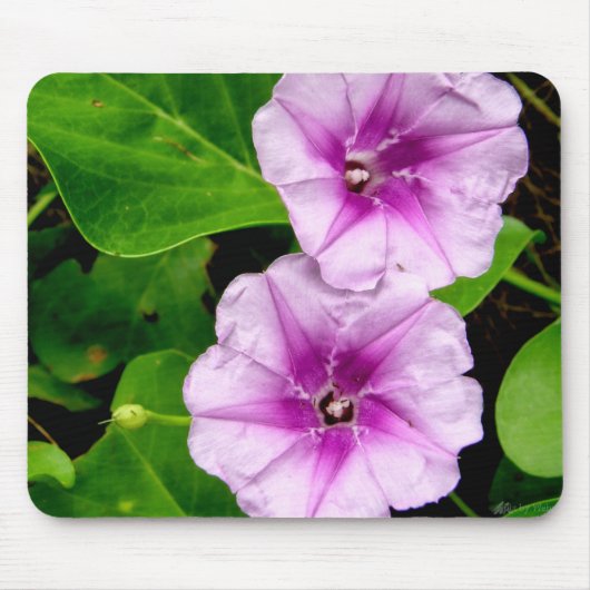 Morning Glory Flowers Mousepad Muismat (Voorkant)