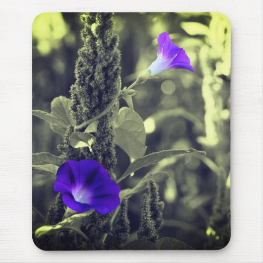 Morning Glory Flowers Muismat (Voorkant)