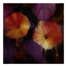 Morning Glory Flowers Perfect Poster