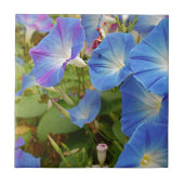 Morning Glory Flowers Tegeltje (Voorkant)