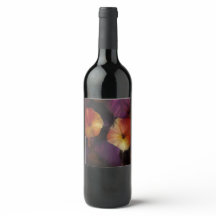 Morning Glory Flowers