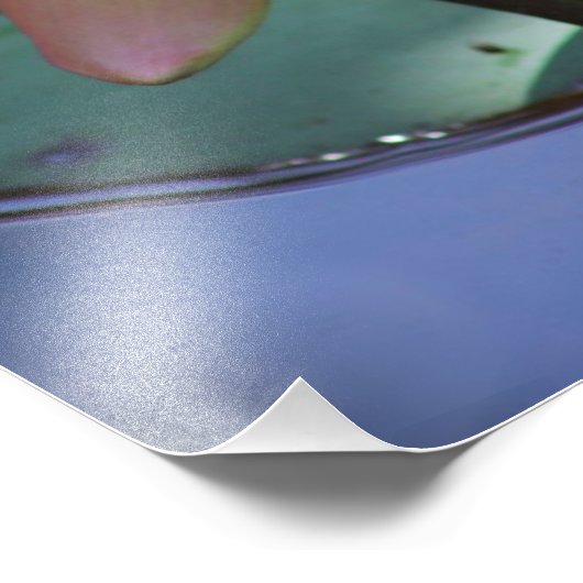 Morning Glory Foto Afdruk (Hoek)