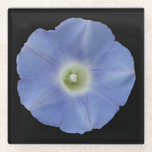 Morning Glory Glazen Onderzetter (Voorkant)