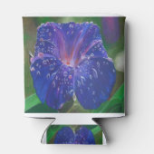 Morning Glory (Ipomoea Purpurea) Petals en Dew Dr. Blikjeskoeler (Achterkant)