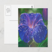 Morning Glory (Ipomoea Purpurea) Petals en Dew Dr. Briefkaart (Voorkant / Achterkant)