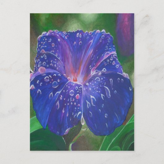 Morning Glory (Ipomoea Purpurea) Petals en Dew Dr. Briefkaart (Voorkant)