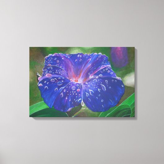 Morning Glory (Ipomoea Purpurea) Petals en Dew Dr. Canvas Afdruk (Voorkant)