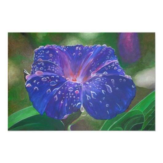 Morning Glory (Ipomoea Purpurea) Petals en Dew Dr. Foto Afdruk (Voorkant)