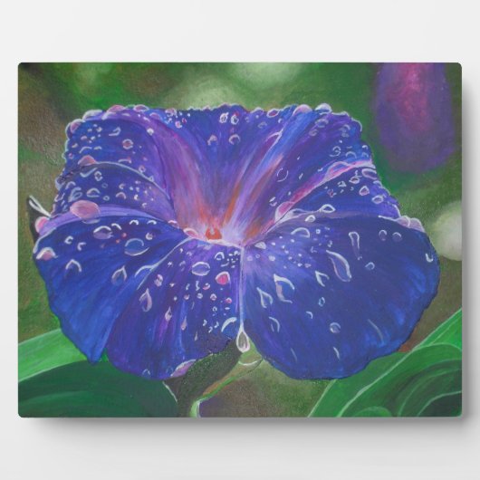 Morning Glory (Ipomoea Purpurea) Petals en Dew Dr. Fotoplaat (Voorkant)