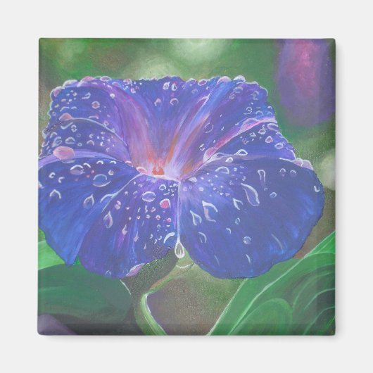 Morning Glory (Ipomoea Purpurea) Petals en Dew Dr. Magneet (Voorkant)