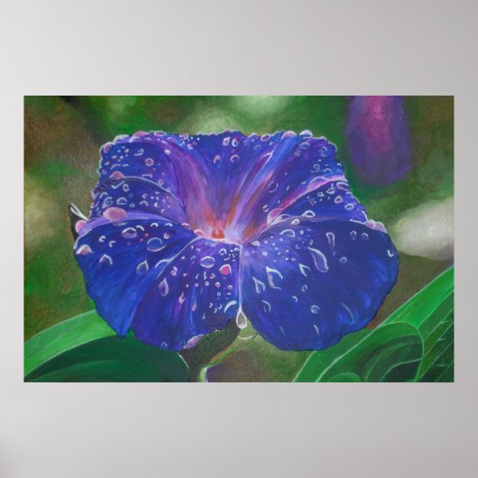 Morning Glory (Ipomoea Purpurea) Petals en Dew Dr. Poster (Voorkant)