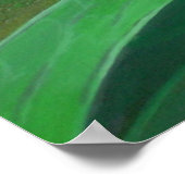 Morning Glory (Ipomoea Purpurea) Petals en Dew Dr. Poster (Hoek)