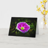 Morning Glory, kaart (Gele Bloem)
