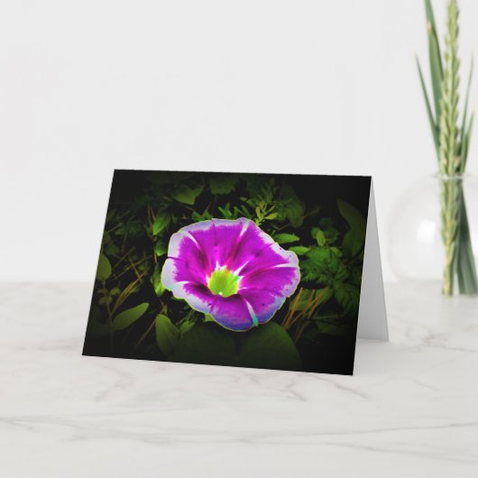 Morning Glory, kaart (Voorkant)