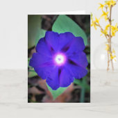 Morning Glory, kaart (Gele Bloem)