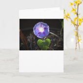 Morning Glory, kaart (Gele Bloem)